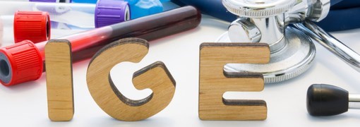  בדיקת רמת Immunoglobulin E - תמונה